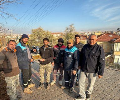 Belediyemiz, soğuk havaların ardından toprak donmadan önce elimizde bulunan ağaç ve çiçekleri toprakla buluşturmak için çalışmalarını yoğun bir şekilde sürdürüyor.
