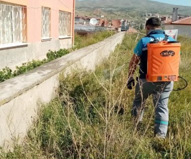 Haşere ve Böceklere Karşı İlaçlama Çalışmaları Yapılıyor