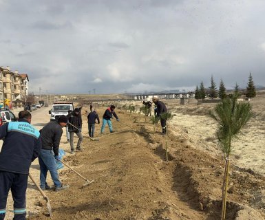 AVANOS İÇİN AĞAÇLANDIRMA ÇALIŞMALARIMIZ DEVAM EDİYOR