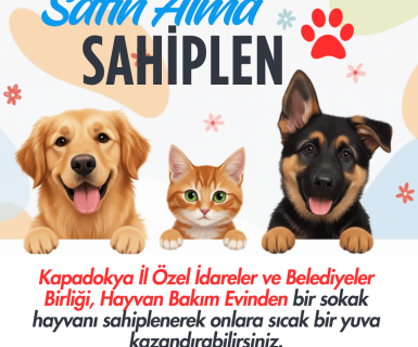 Kapadokya İl Özel İdareler ve Belediyeler Birliği, Hayvan Bakım Evinden bir sokak hayvanı sahiplenerek onlara sıcak bir yuva kazandırabilirsiniz.