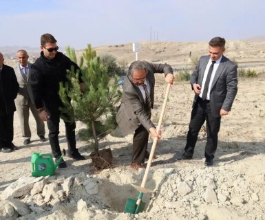 11 Kasım Milli Ağaçlandırma Günü