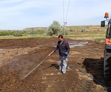 Sinek ve Haşerelere Karşı İlaçlama Çalışmaları Başladı