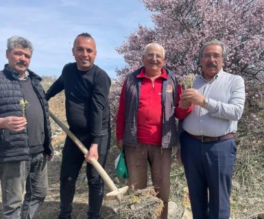 Avanos’ta Baharın Müjdecisi Nevruz Çiçekleri Açtı.