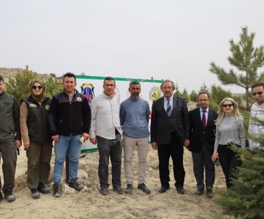 Orman Haftası Dolayısıyla Fidan Dikim Etkinliği Gerçekleştirildi