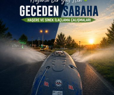 AVANOS'UN HER YERİNDE SİNEK VE HAŞERE İLAÇLAMA ÇALIŞMALARI
