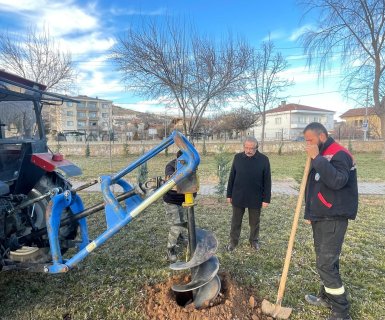AĞAÇ DİKİM ÇALIŞMALARIMIZ DEVAM EDİYOR