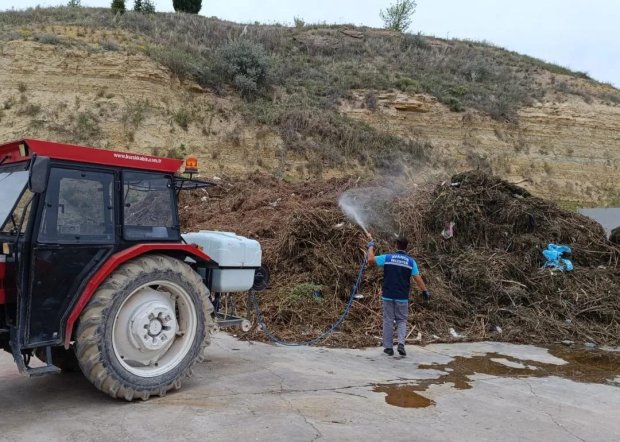 Sinek ve Haşerelere Karşı İlaçlama Çalışmaları Başladı