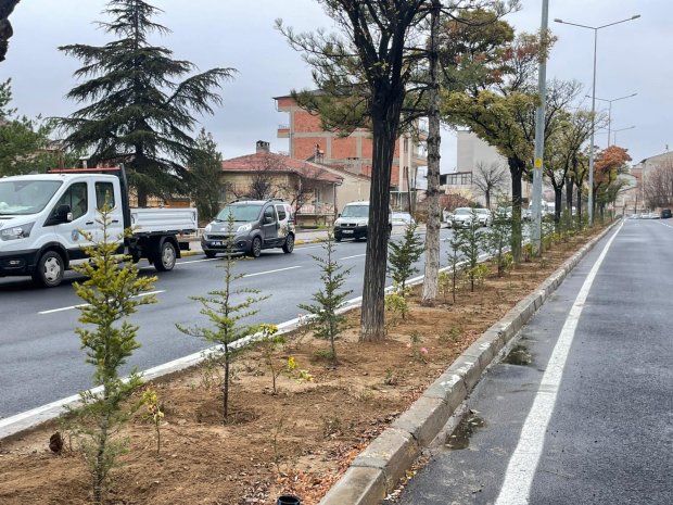 Ağaç Dikim Çalışmalarımız Yoğun Bir Tempo İle Devam Ediyor. Belediye Başkanımız Sayın Mustafa Kenan Sarıtaş, ağaçlandırma çalışmalarına bizzat ağaç dikerek katkı sağladı.