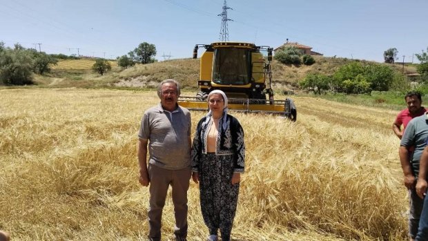 Nevşehir Milletvekilimiz Sn. Prof.Dr. Filiz Kılıç, Belediye Başkanımız ile hasat çalışmalarına katıldı.