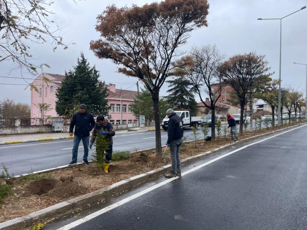 Ağaç Dikim Çalışmalarımız Yoğun Bir Tempo İle Devam Ediyor. Belediye Başkanımız Sayın Mustafa Kenan Sarıtaş, ağaçlandırma çalışmalarına bizzat ağaç dikerek katkı sağladı.