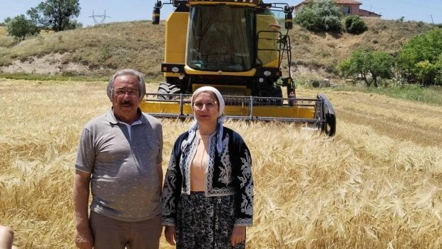 Nevşehir Milletvekilimiz Sn. Prof.Dr. Filiz Kılıç, Belediye Başkanımız ile hasat çalışmalarına katıldı.