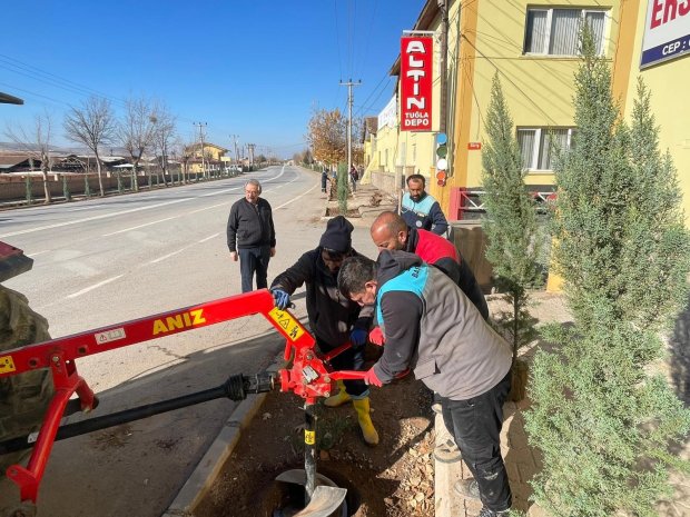 Belediyemiz, pazar günü de ağaç dikim çalışmalarını yoğun bir şekilde sürdürdü.