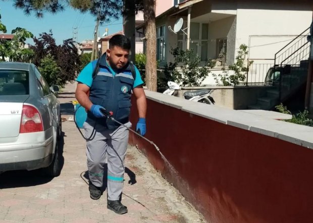 Haşere ve Böceklere Karşı İlaçlama Çalışmaları Yapılıyor
