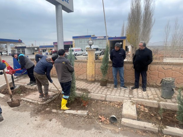 Belediyemiz, pazar günü de ağaç dikim çalışmalarını yoğun bir şekilde sürdürdü.