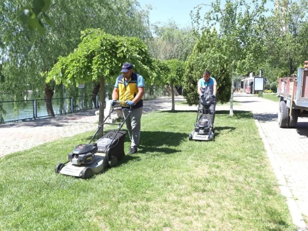 İlçemiz Genelinde Yeşil Alan Bakımları Yapılıyor