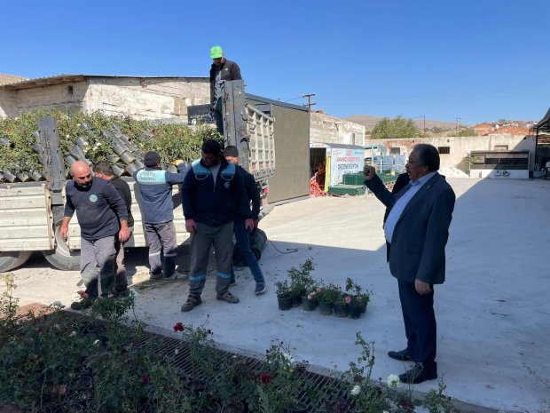 İlçemizin şehir meydanında yer alan çiçek saksılarında ve yeşil alanlarımızın peyzaj düzenlemelerinde kullanılacak olan rengarenk güller dikilmek üzere hazırlıklar yürütülüyor.