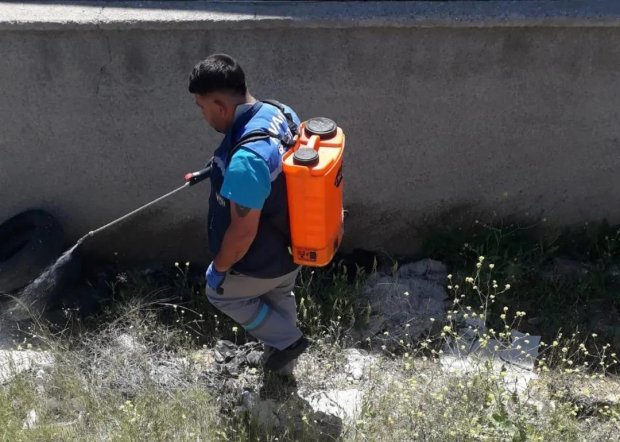 Haşere ve Böceklere Karşı İlaçlama Çalışmaları Yapılıyor