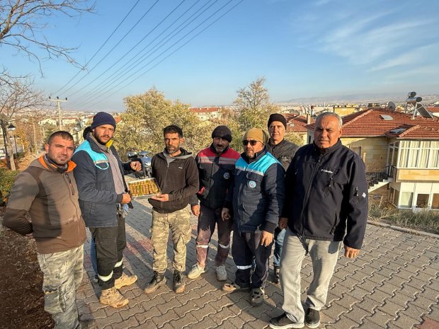 Belediyemiz, soğuk havaların ardından toprak donmadan önce elimizde bulunan ağaç ve çiçekleri toprakla buluşturmak için çalışmalarını yoğun bir şekilde sürdürüyor.