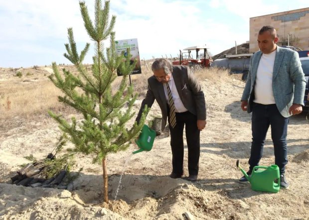 11 Kasım Milli Ağaçlandırma Günü