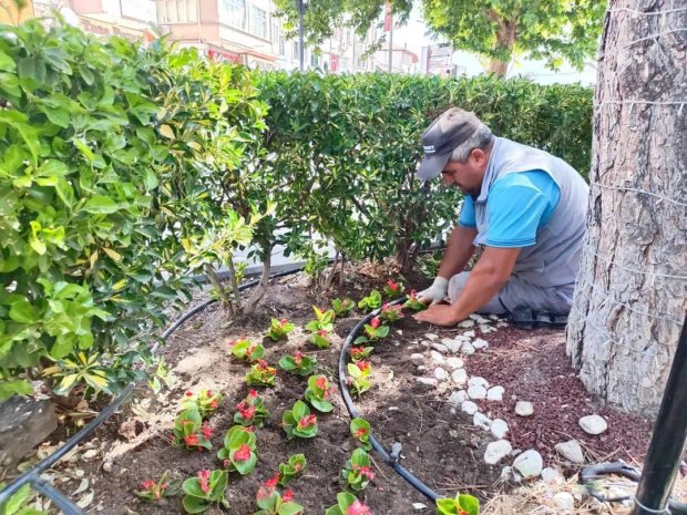 Mevsimlik Çiçek Dikimi Devam Ediyor