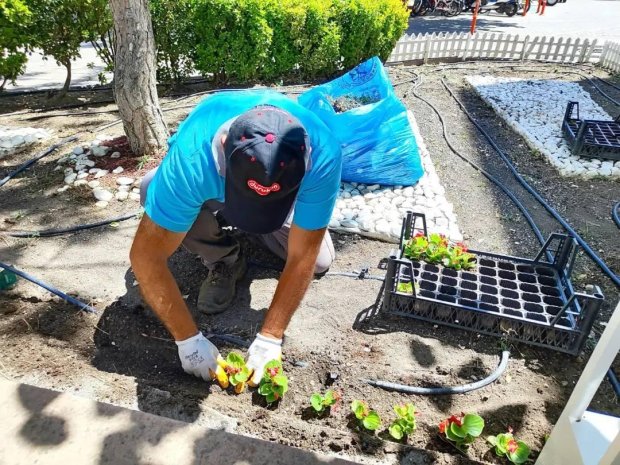 Mevsimlik Çiçek Dikimi Devam Ediyor