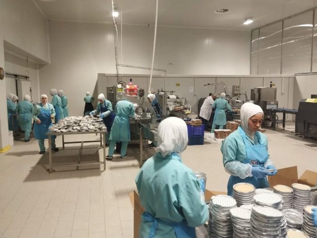 Belediye Başkanımız Sn. Mustafa Kenan Sarıtaş, Boğazlıyan Organize Sanayi Bölgesi'nde faaliyet gösteren Asi Künefe ve Base Metal fabrikalarını ziyaret etti.