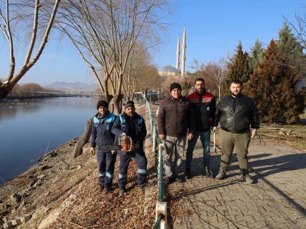 Kızılırmak Kenarındaki Ağaçların Budama ve Bakımları Yapılıyor.
