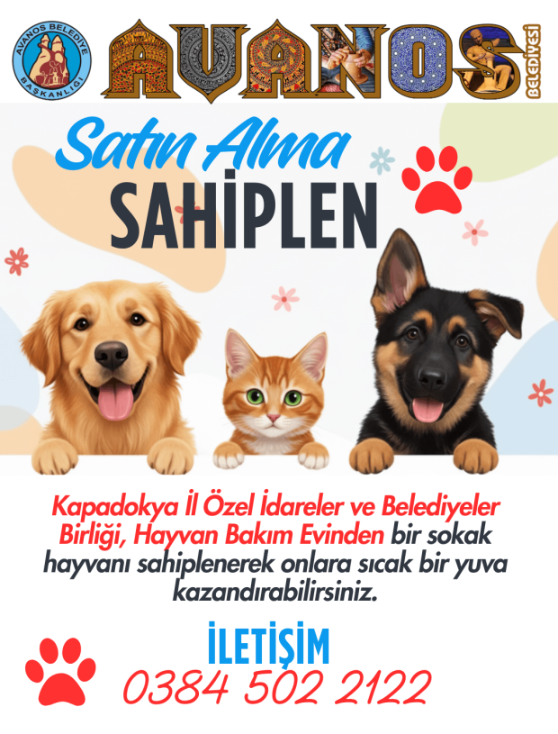 Kapadokya İl Özel İdareler ve Belediyeler Birliği, Hayvan Bakım Evinden bir sokak hayvanı sahiplenerek onlara sıcak bir yuva kazandırabilirsiniz.