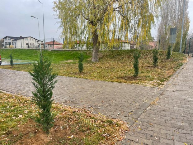 Ağaç Dikim Çalışmalarımız Yoğun Bir Tempo İle Devam Ediyor. Belediye Başkanımız Sayın Mustafa Kenan Sarıtaş, ağaçlandırma çalışmalarına bizzat ağaç dikerek katkı sağladı.