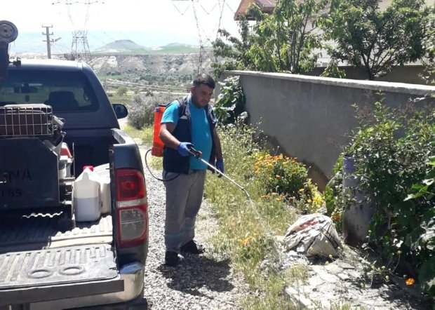 Haşere ve Böceklere Karşı İlaçlama Çalışmaları Yapılıyor