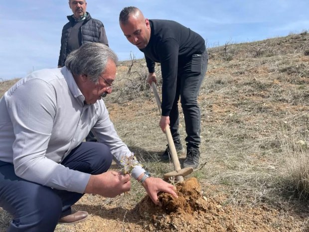 Avanos’ta Baharın Müjdecisi Nevruz Çiçekleri Açtı.