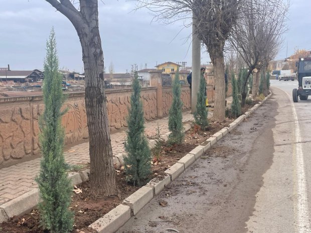 Belediyemiz, pazar günü de ağaç dikim çalışmalarını yoğun bir şekilde sürdürdü.