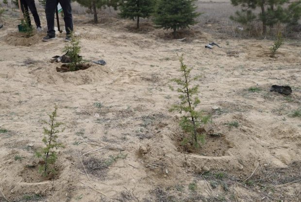 Orman Haftası Dolayısıyla Fidan Dikim Etkinliği Gerçekleştirildi