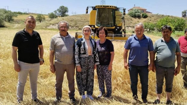 Nevşehir Milletvekilimiz Sn. Prof.Dr. Filiz Kılıç, Belediye Başkanımız ile hasat çalışmalarına katıldı.