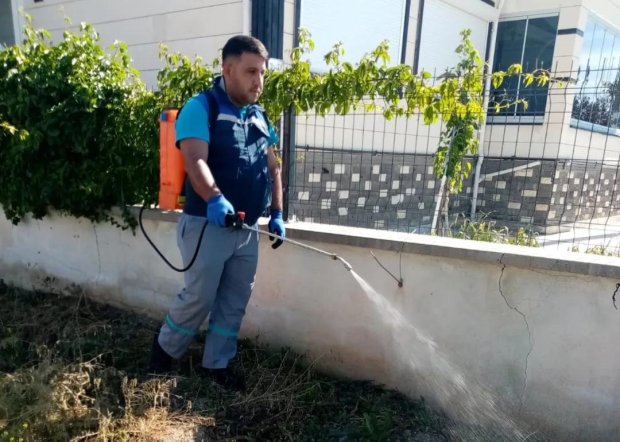 Haşere ve Böceklere Karşı İlaçlama Çalışmaları Yapılıyor