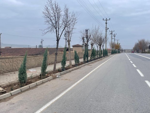 Belediyemiz, pazar günü de ağaç dikim çalışmalarını yoğun bir şekilde sürdürdü.