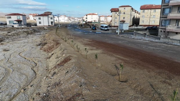 AVANOS İÇİN AĞAÇLANDIRMA ÇALIŞMALARIMIZ DEVAM EDİYOR