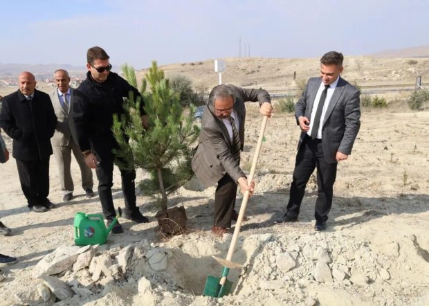 11 Kasım Milli Ağaçlandırma Günü