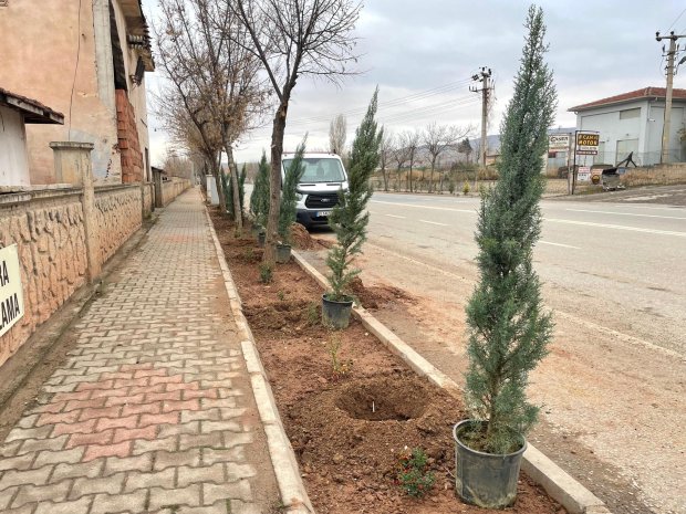 Belediyemiz, pazar günü de ağaç dikim çalışmalarını yoğun bir şekilde sürdürdü.