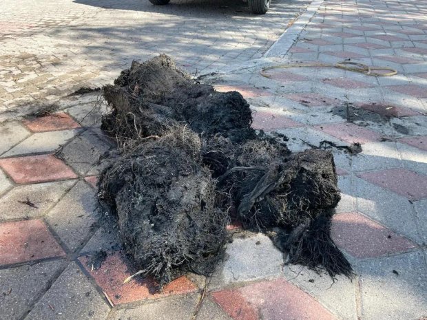 Belediye Başkanımız Mustafa Kenan Sarıtaş, İlçemiz çarşı merkezindeki kanalizasyon hattının temizliği için alanda çalışan ekiplerimizi ziyaret ederek; çalışmaları yerinde inceliyor.