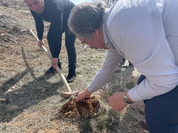 Avanos’ta Baharın Müjdecisi Nevruz Çiçekleri Açtı.
