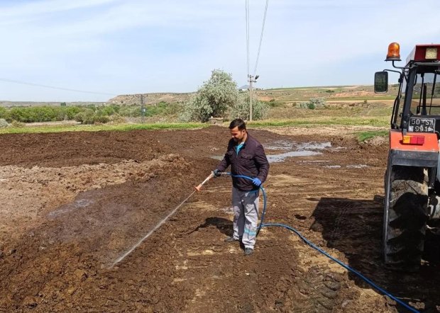 Sinek ve Haşerelere Karşı İlaçlama Çalışmaları Başladı