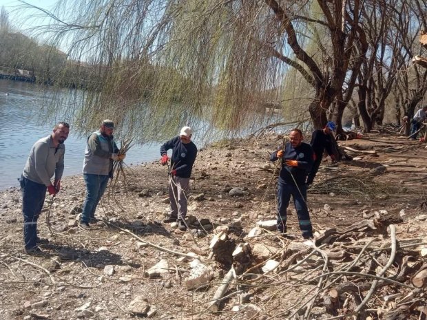 Kazların kuluçka dönemi öncesinde ada da temizlik ve yuva yapım çalışmaları başlatıldı