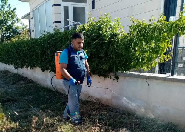Haşere ve Böceklere Karşı İlaçlama Çalışmaları Yapılıyor