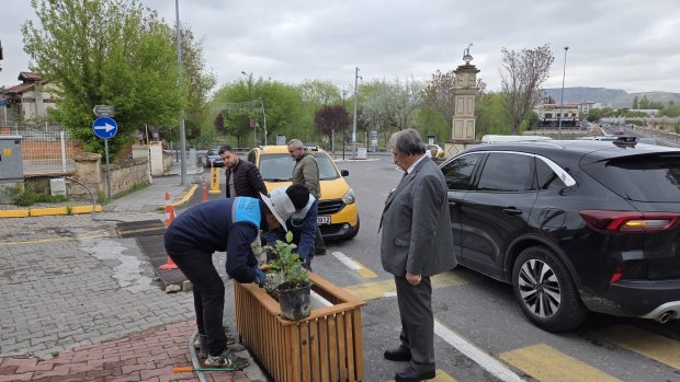 AVANOS GÜLLERLE RENKLENİYOR