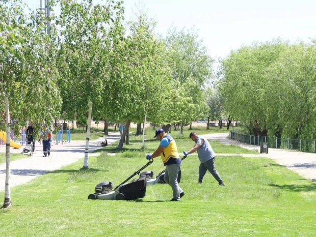 İlçemiz Genelinde Yeşil Alan Bakımları Yapılıyor