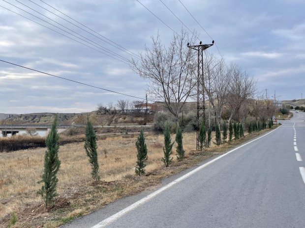 Belediyemiz, pazar günü de ağaç dikim çalışmalarını yoğun bir şekilde sürdürdü.
