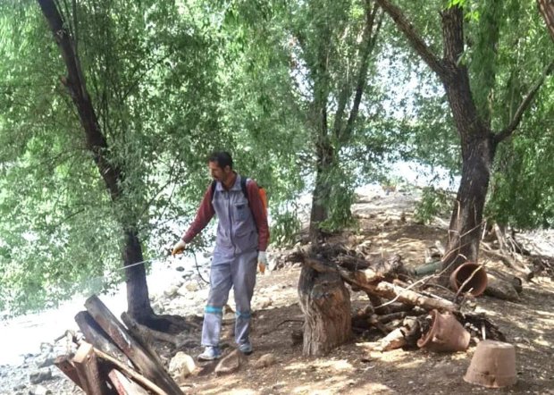 Kızılırmak İçinde Bulunan Adada Temizlik Çalışması