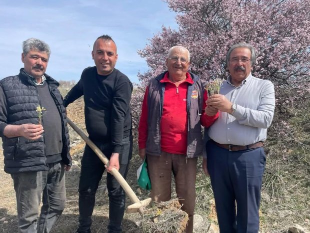 Avanos’ta Baharın Müjdecisi Nevruz Çiçekleri Açtı.