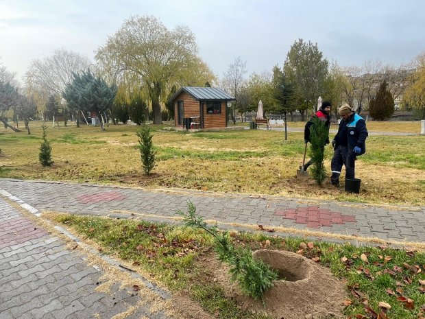 Ağaç Dikim Çalışmalarımız Yoğun Bir Tempo İle Devam Ediyor. Belediye Başkanımız Sayın Mustafa Kenan Sarıtaş, ağaçlandırma çalışmalarına bizzat ağaç dikerek katkı sağladı.